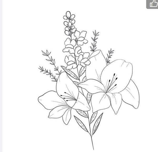 花卉简笔画 花卉简笔画图片大全