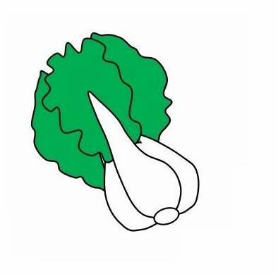 白菜简笔画图片 画大白菜简笔画图片