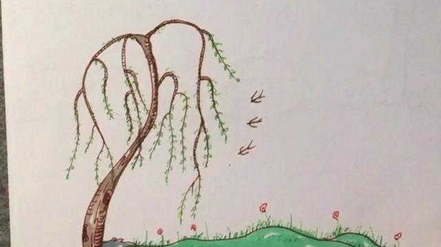 柳树简笔画 柳树简笔画图片带颜色