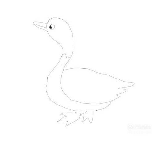 简笔画鹅 简笔画图片大全