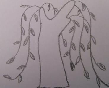 树干简笔画 树干简笔画图片