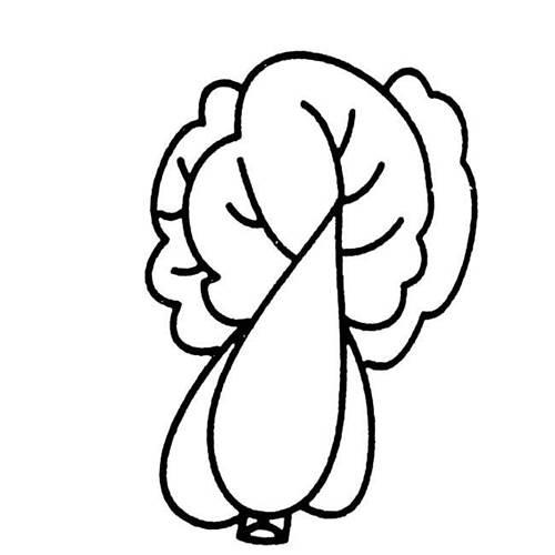 青菜简笔画 青菜简笔画图片