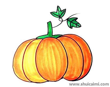 蔬菜南瓜儿童简笔画