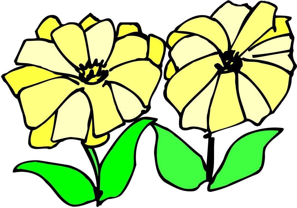 花朵的简笔画 花朵的简笔画图片大全
