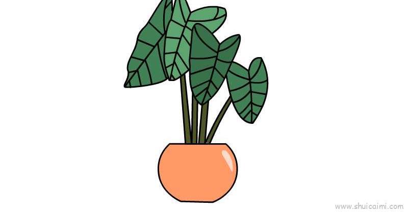 芋头儿童画怎么画 芋头简笔画步骤