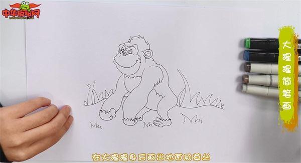 大猩猩怎么画 大猩猩简笔画漂亮卡通