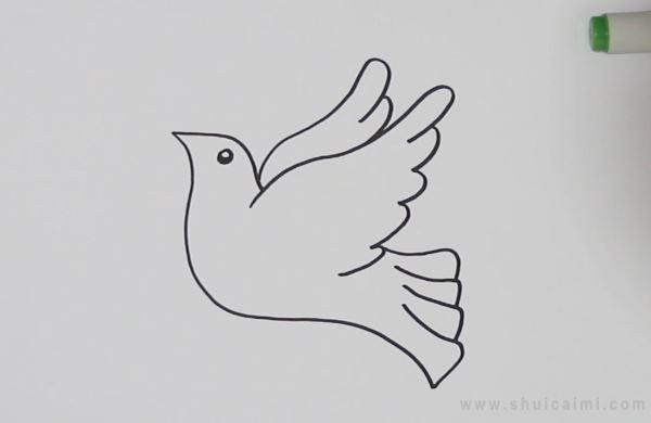 和平鸽简笔画怎么画 和平鸽简笔画好看