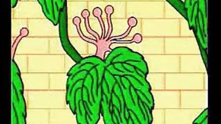 爬山虎简笔画 爬山虎简笔画图片大全大图