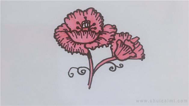 禁毒罂粟花简笔画怎么画 禁毒罂粟花简笔画顺序