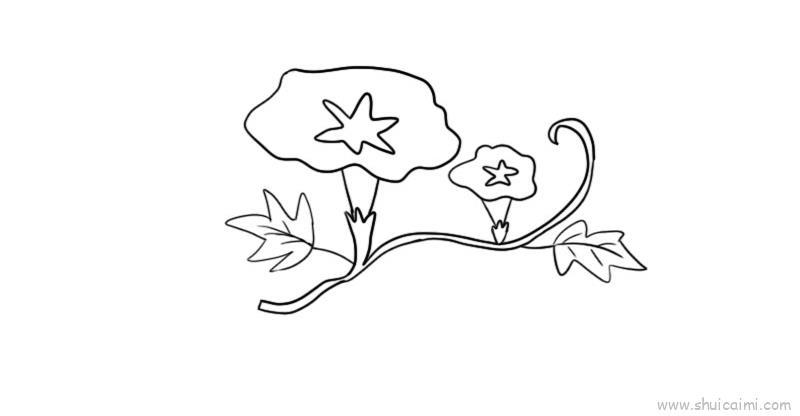 牵牛花教程儿童画怎么画 牵牛花教程简笔画图片