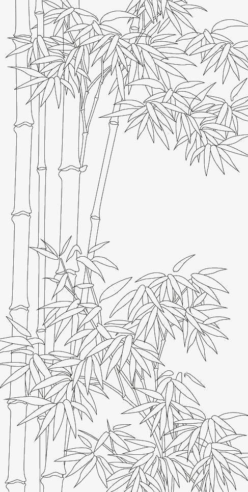 竹子简笔画 竹子简笔画好看又简单