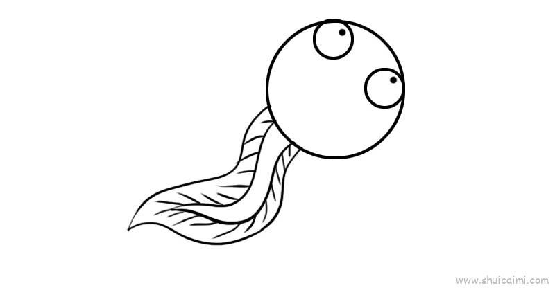 小蝌蚪儿童画怎么画 小蝌蚪简笔画图片大全