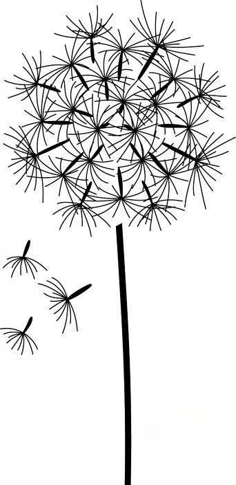 蒲公英简笔画 蒲公英简笔画彩色