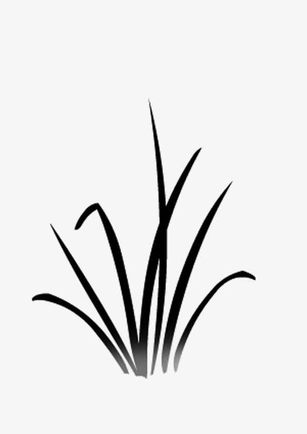 小草简笔画图片大全 小草简笔画图片大全大图彩色