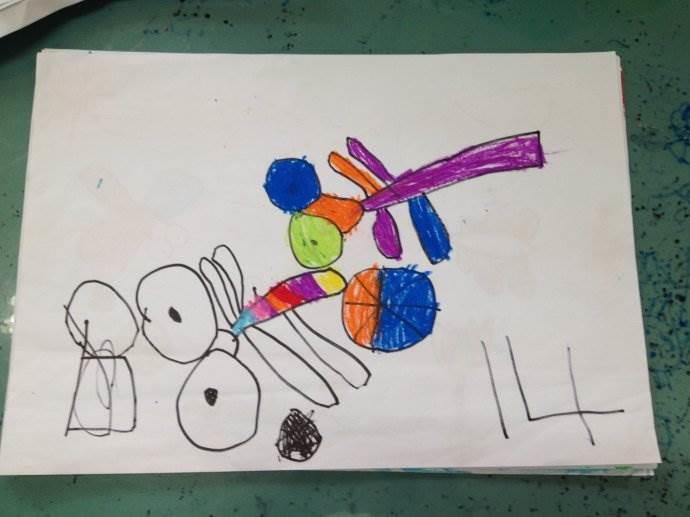 小荷才露尖尖角简笔画 小荷才露尖尖角简笔画彩色