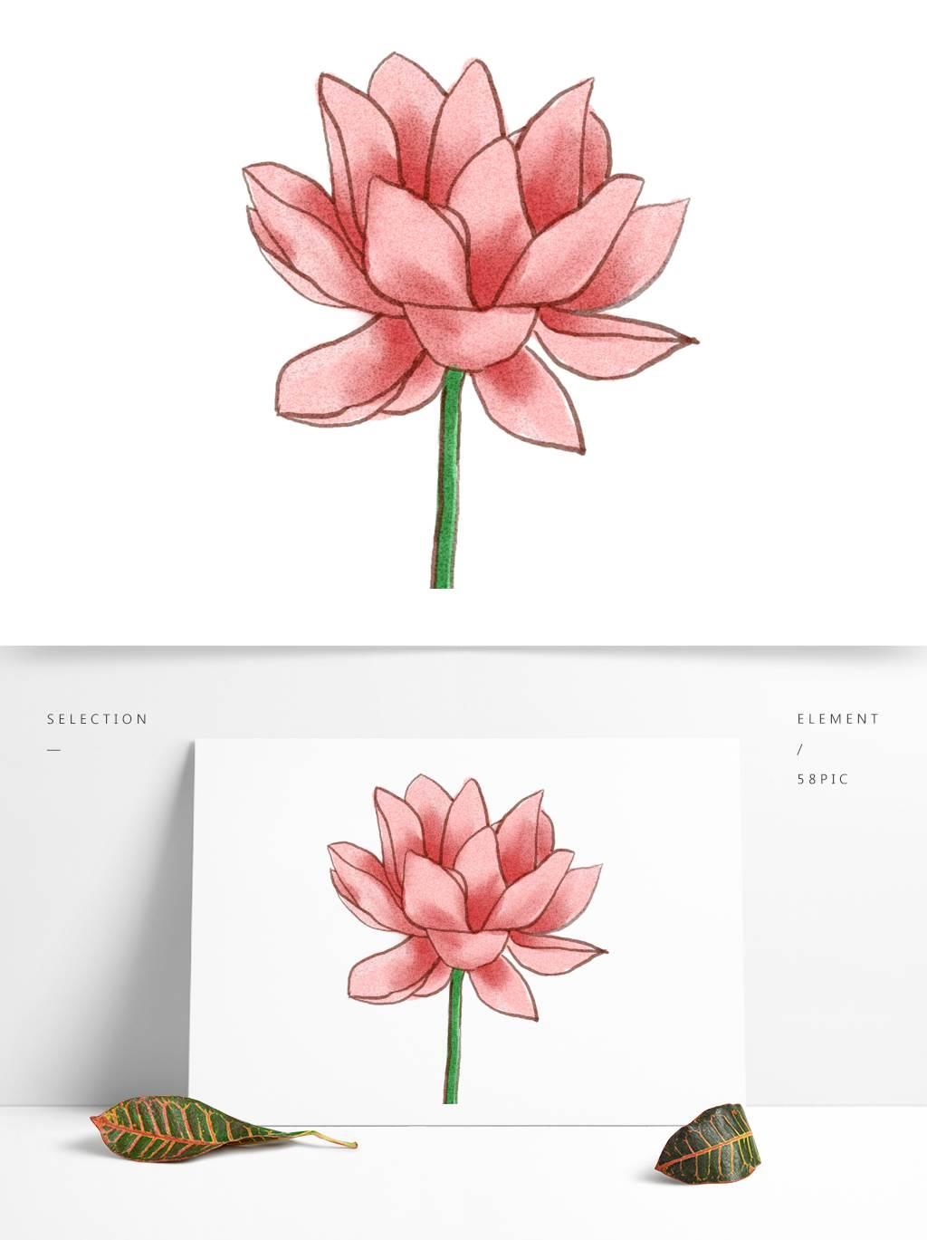 处暑的花简笔画 节气的简笔画怎么画