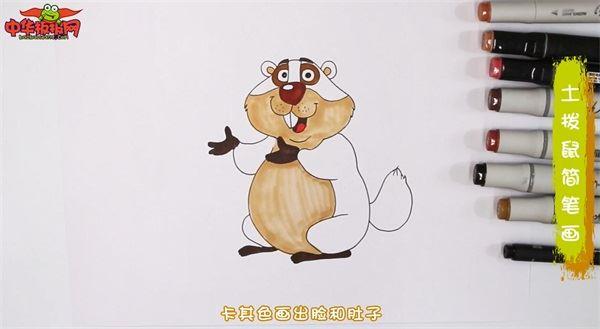 土拨鼠怎么画 土拨鼠简笔画简单易画彩色