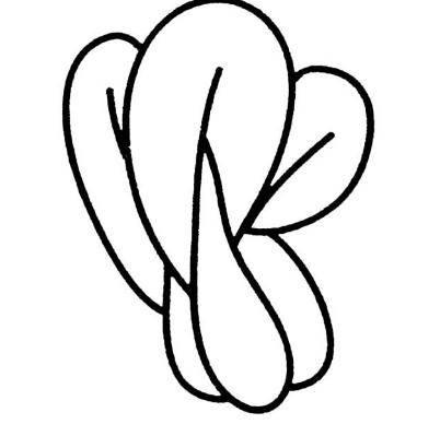 蔬菜的简笔画图片大全大图 蔬菜的简笔画图片大全大图可爱