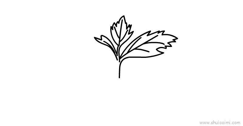 端午节艾草儿童画怎么画 端午节艾草简笔画图片大全