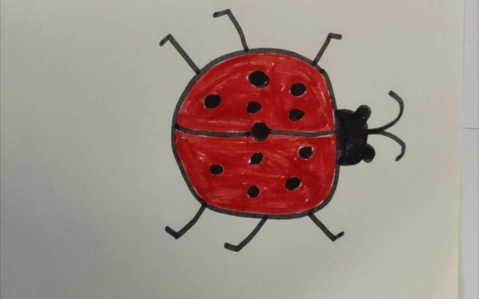 瓢虫简笔画 瓢虫简笔画儿童画