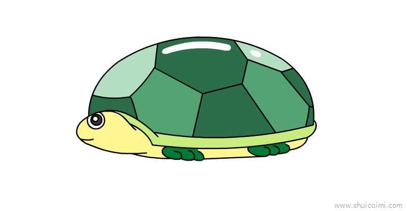 乌龟儿童画怎么画 乌龟简笔画图片大全