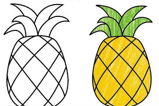 菠萝简笔画 菠萝简笔画法