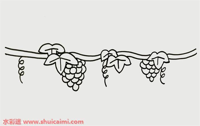 葡萄树怎么画 葡萄树简笔画步骤图