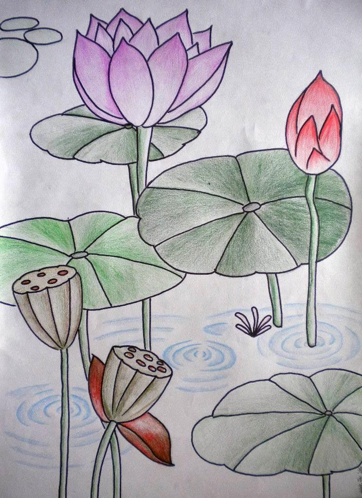 夏天的简笔画图片大全 关于夏天的简笔画图片大全