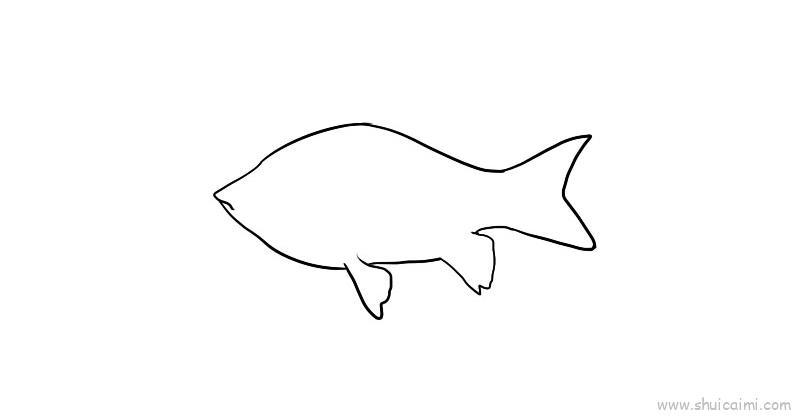 鲫鱼儿童画怎么画 鲫鱼简笔画图片大全