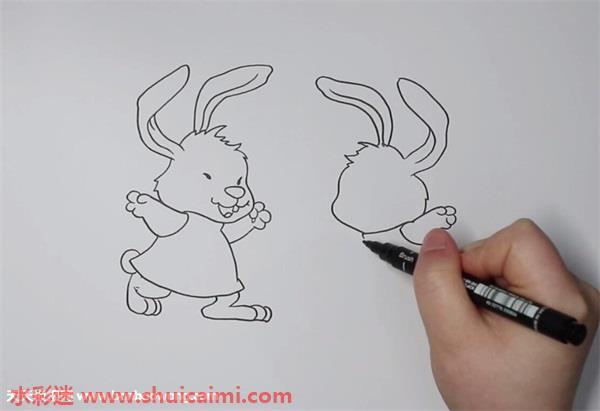 小白兔小灰兔怎么画 小白兔小灰兔简笔画简单好看带颜色