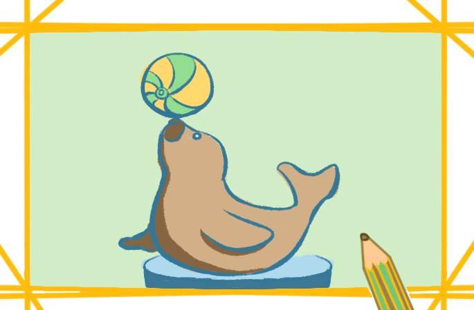 海豹简笔画 海豹简笔画图片