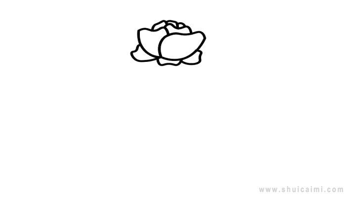 罂粟花简笔画怎么画 罂粟花简笔画图片