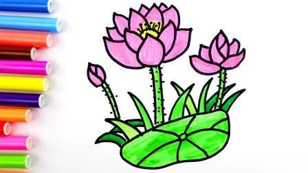 莲花简笔画 莲花简笔画图片大全大图