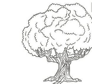 画树的简笔画 简单画树的简笔画