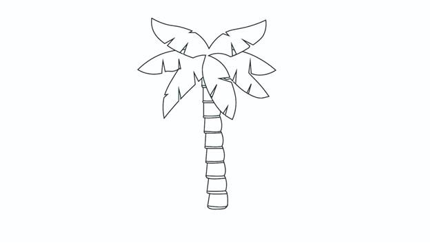 椰树简笔画怎么画 椰树简笔画简单