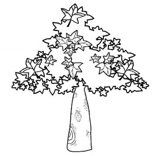 果树简笔画 果树简笔画彩色