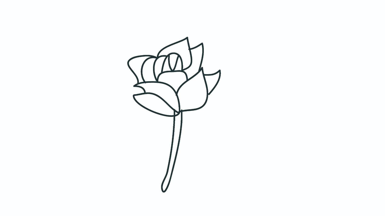 玫瑰的简笔画怎么画 玫瑰简笔画简单