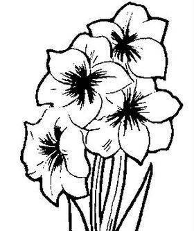 画花简笔画 如何画花简笔画