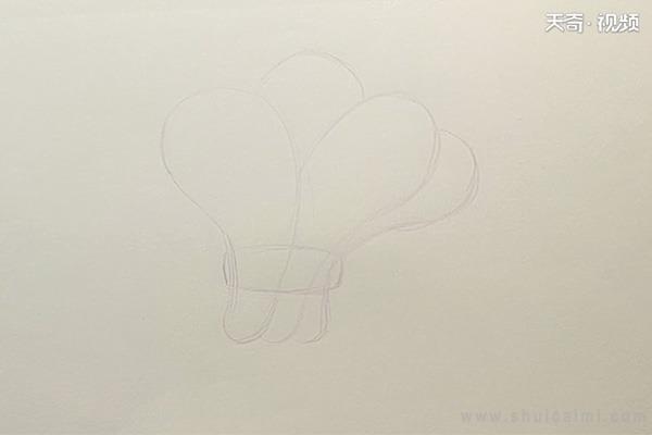 白菜简笔画怎么画 白菜简笔画简单