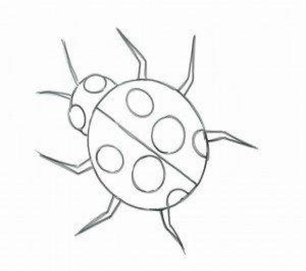 虫子简笔画 虫子简笔画图片大全