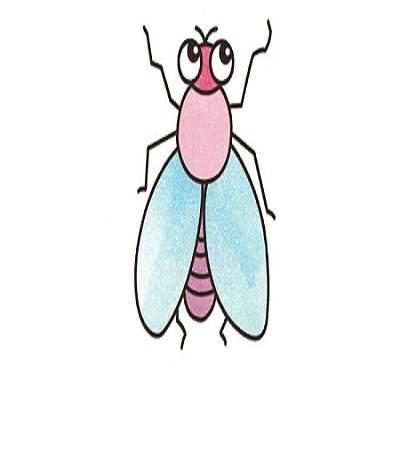 苍蝇简笔画 苍蝇简笔画彩色