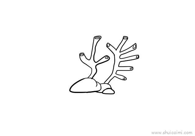 珊瑚儿童画怎么画 珊瑚简笔画画法