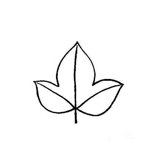 树叶的简笔画 树叶的简笔画简单又漂亮