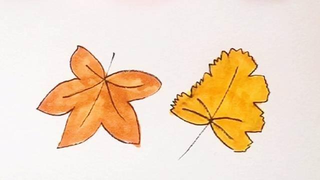 秋天的叶子简笔画 秋天的叶子简笔画图片