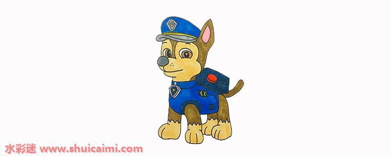 汪汪队的阿奇怎么画 威力狗阿奇彩色简笔画一步一步