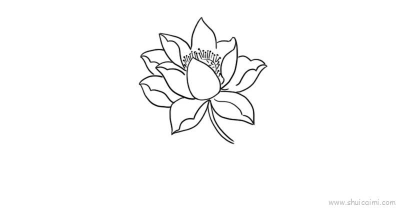 花儿童画怎么画 花简笔画简单又好看