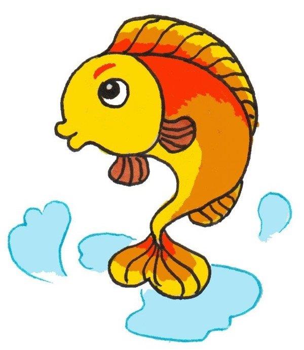 小鲤鱼的简笔画怎么画 小鲤鱼的简笔画好看