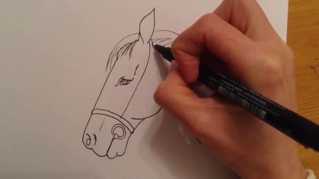 画马简笔画 怎样画马简笔画