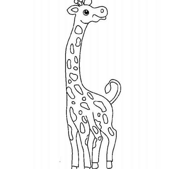 长颈鹿简笔画 长颈鹿简笔画图片大全