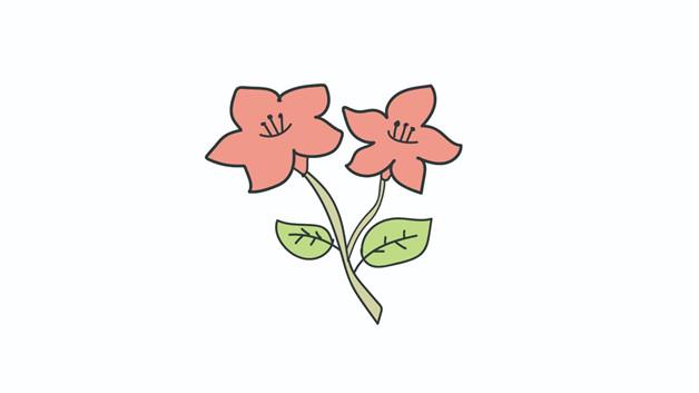 杜鹃花简笔画怎么画 杜鹃花简笔画简单